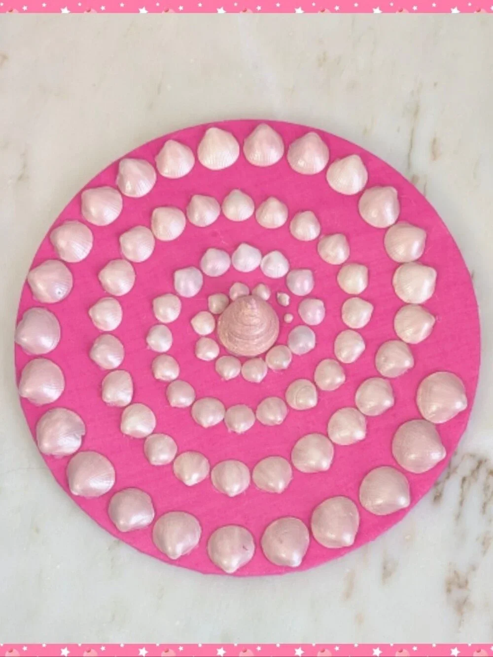 Coastal SeaShell Decorative Wall Art 12in Pink Background